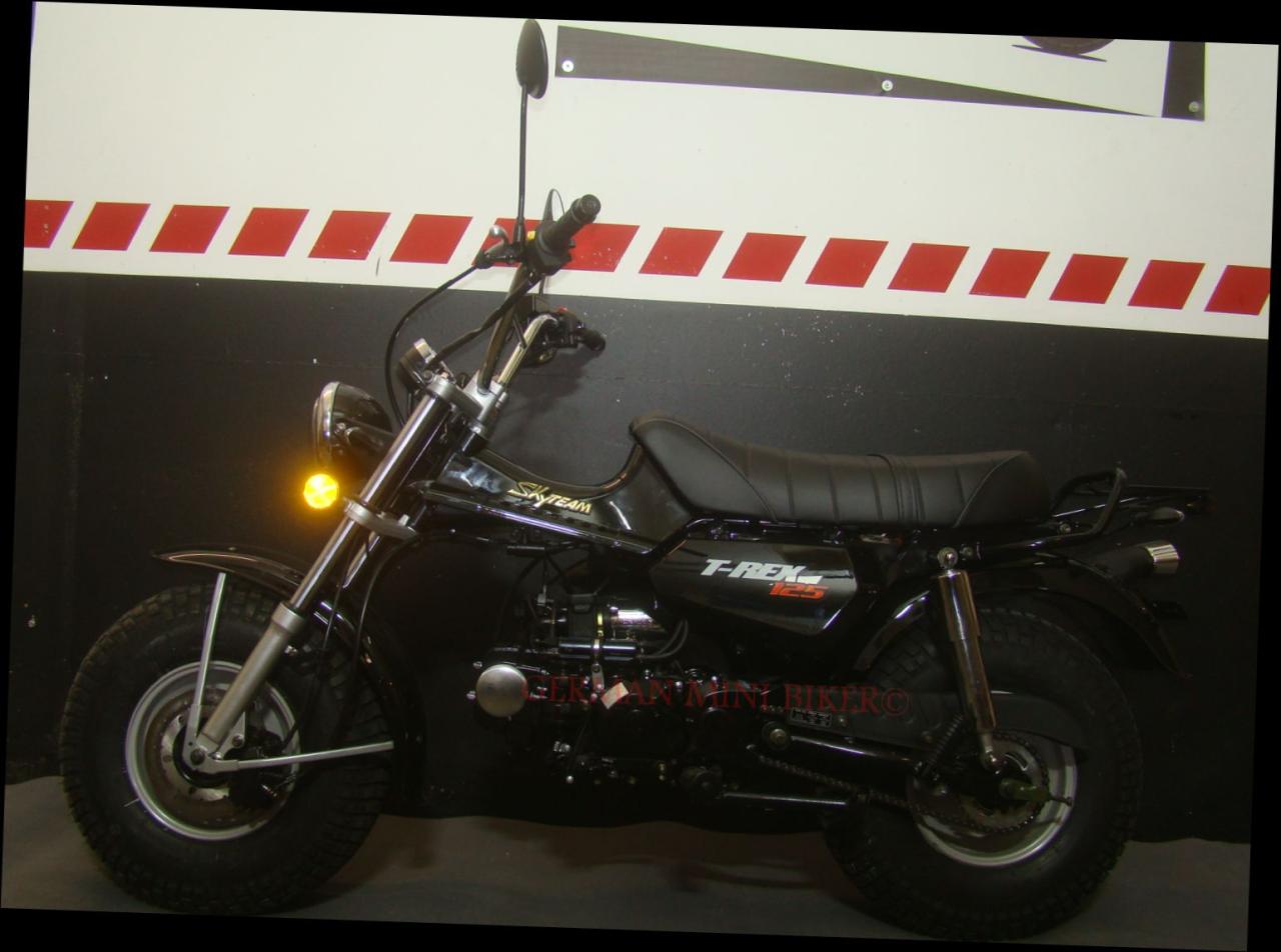 T-REX 125 E5 CLUB-INJECTION Black 