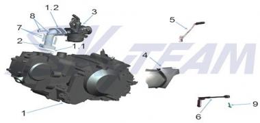 -Trex Schrauben M6/25 2 Stück 50cc 